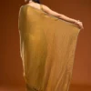 Zimichoo Two Tone Chiffon Saree - Image 3