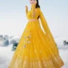 Kids Lehenga choli